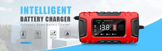 48V 13Ah 電動シティバイクバッテリー リアラック充電器付き オリジナルおよび新品